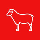 Shop Lamb