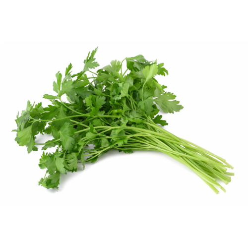 Coriander - Bunch