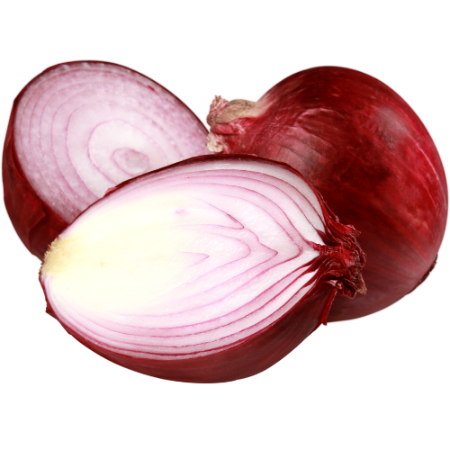 Red Onion - Pack of 4