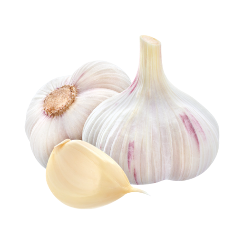 Garlic - Pack of 3